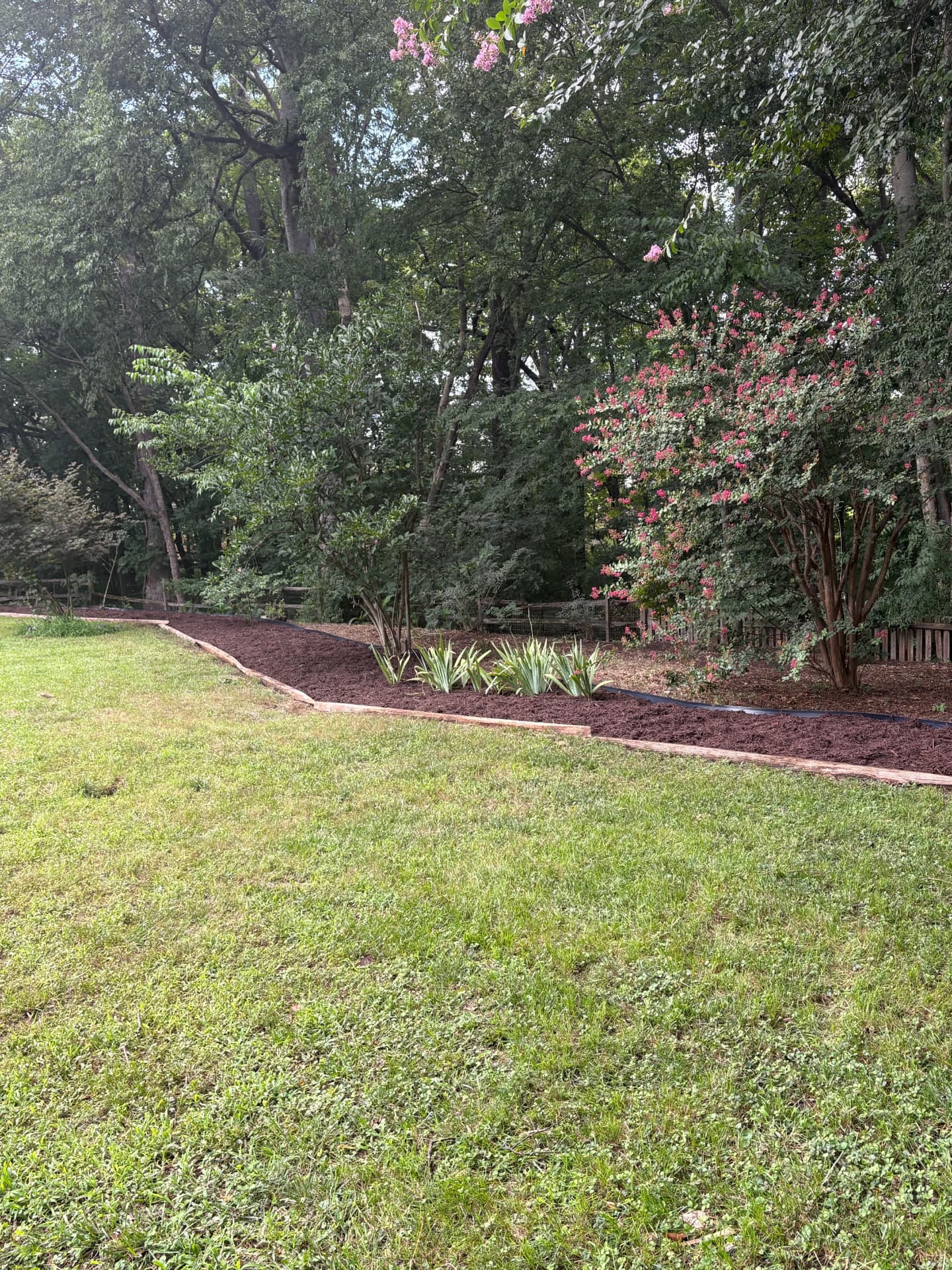 Freshly mulched landscape bed with edging installed by Red Line Landscapes